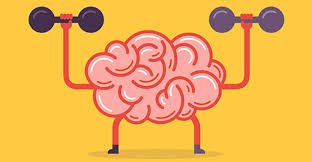 Cerebro en el gimnasio